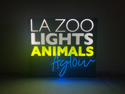 Neon Lights | Neon Signs for Wall Decor | Neon Sign Customizable | Neon Name Sign | Neon Light Sign | Custom LED Sign | Custom Light Up Sign