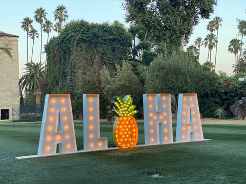 Giant Pineapple Light Up Sign | Custom Marquee Sign | Hawaiian Theme Wedding Birthday Decoration