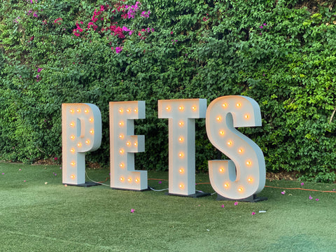 Marquee Letters Stand for Giant Light Up Letters | Marquee Lights Stand | Lighted Letters Stand(Individual Stand for Individual Letter)