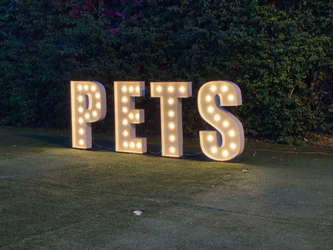 Marquee Letters Stand for Giant Light Up Letters | Marquee Lights Stand | Lighted Letters Stand (Individual Stand for Individual Letter)